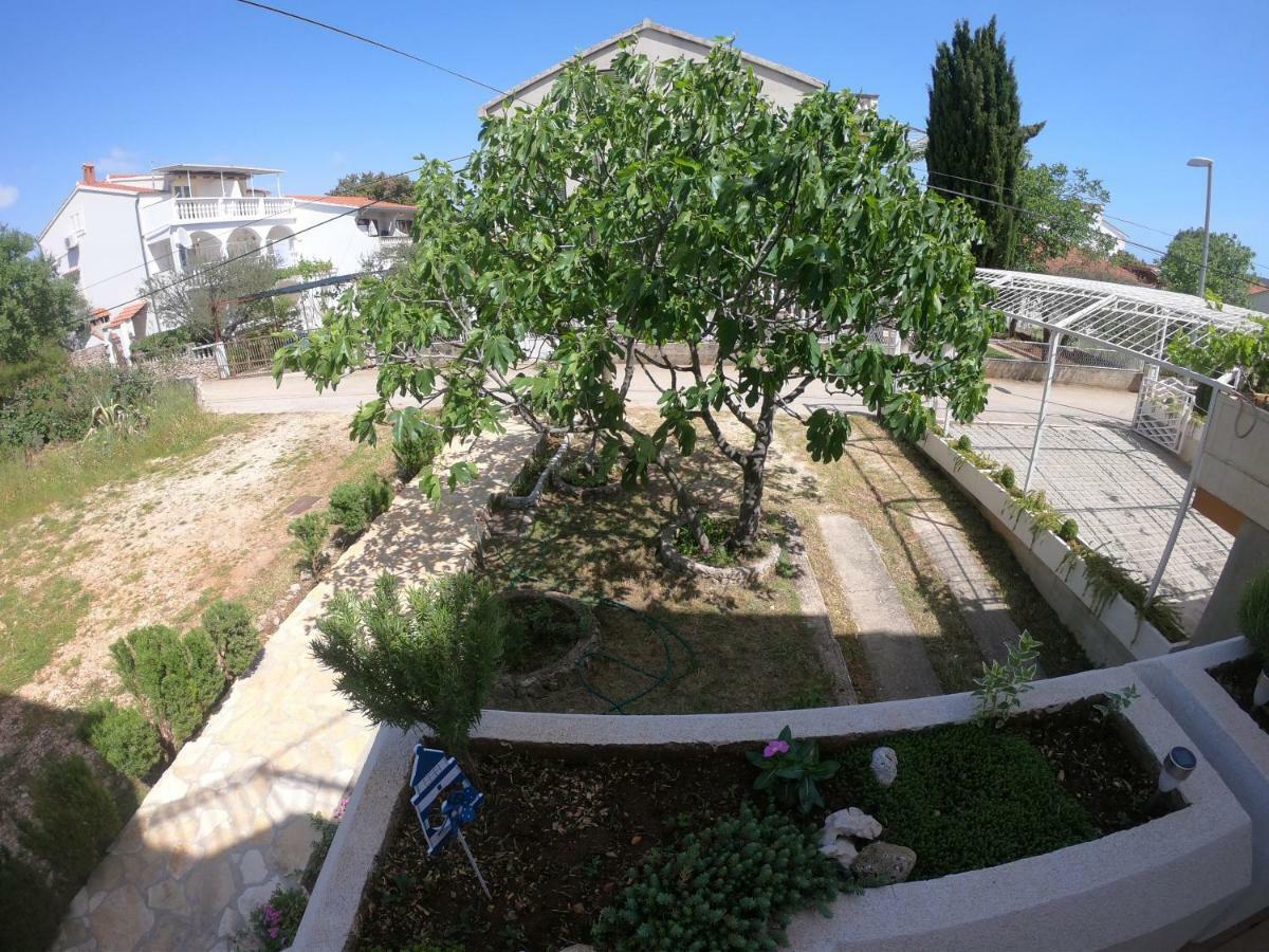 Apartments Delibasic 로고즈니차 외부 사진